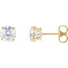 14K Yellow Gold 1/3 CTW Lab-Grown Diamond Stud Earrings