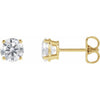 14K Yellow Gold 1/3 CTW Lab-Grown Diamond Stud Earrings