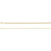 14K Yellow Gold 2.7 mm Curb & Paperclip-Style 16