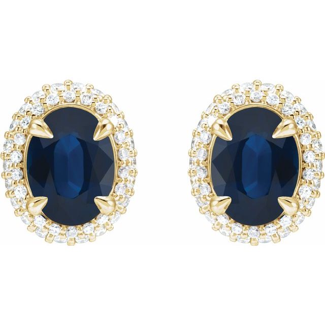 14K White Gold Natural Blue Sapphire & 1/2 CTW Diamond Double Halo Earrings