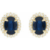 14K White Gold Natural Blue Sapphire & 1/2 CTW Diamond Double Halo Earrings