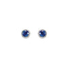 14K White Gold Natural Blue Sapphire & Diamond Earrings - Elegant Design