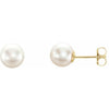 14K White 4 mm Cultured White Akoya Pearl Earrings