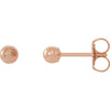 14K White 3 mm Ball Earrings