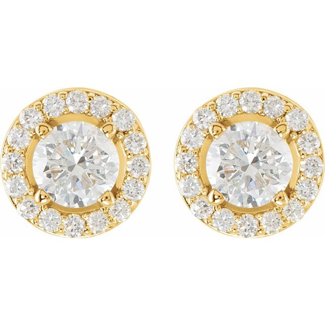 14K White Gold Moissanite & Diamond Halo Earrings â€“ Elegant Sparkle