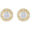 14K White Gold Moissanite & Diamond Halo Earrings â€“ Elegant Sparkle