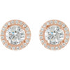 14K White Gold Moissanite & Diamond Halo Earrings â€“ Elegant Sparkle