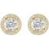 14K White Gold Moissanite & Diamond Halo Earrings â€“ Elegant Sparkle