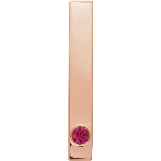14K Gold Natural Mozambique Garnet Engravable Family Bar Pendant